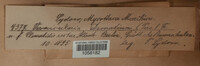 Image Associated With the Occurence